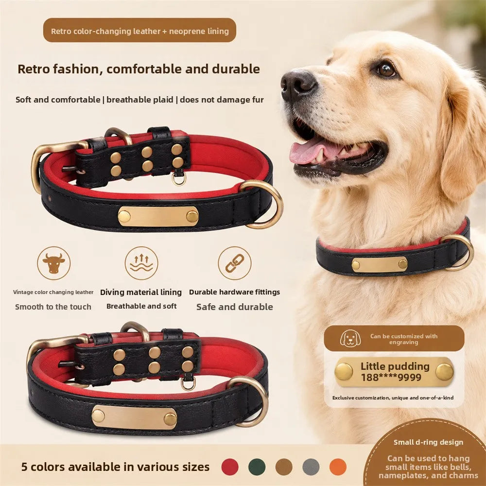 Collier PawIdentié - porté par un chien